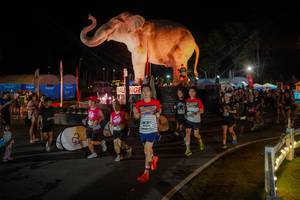 BIB: 
                            <button type="button" onclick="openModal(26552338)" class="btn btn-primary btn-sm float-right btn-popup" data-toggle="modal" data-target=".modal-high-quality">
                        <i class="fas fa-shopping-cart"></i> Add to Cart
                    </button>
                                            <button type="button" onclick="isThisMe(26552338, true)" class="btn btn-success btn-sm float-right btn-popup btn-isme hidden" data-toggle="tooltip" data-placement="bottom" title="นี่คือรูปของคุณใช่ไหม คลิกที่นี่เพื่อเอาเข้าอัลบั้ม">
                        <i class="fas fa-plus"></i> Add to album
                    </button>
                    <button type="button" onclick="isThisMe(26552338, false)" class="btn btn-warning btn-sm float-right btn-popup btn-isnotme hidden">
                        <i class="fas fa-ban"></i> Remove from album
                    </button>